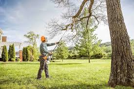Best Weed Control  in Midway, NC